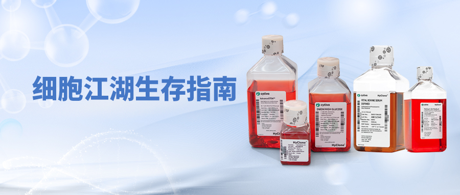 细胞江湖生存指南：从“手忙脚乱”到“游刃有余”的完全修炼手册