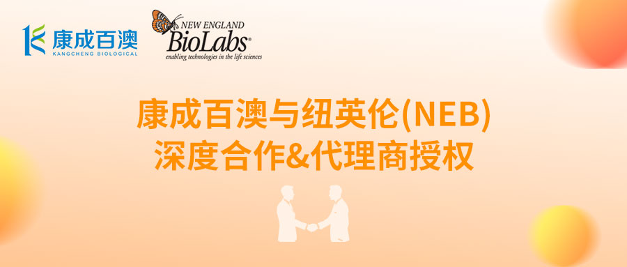 新增代理：康成百澳与纽英伦(NEB)深度合作&代理商授权