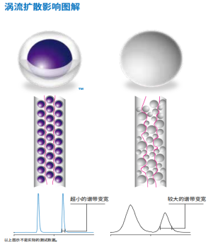 【技术干货】核-壳柱——分析效率提升利器
