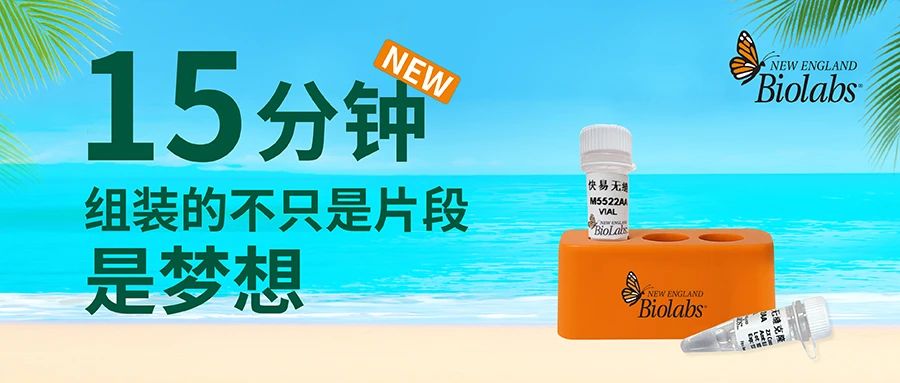 样品免费试用 | NEB快易无缝克隆新品