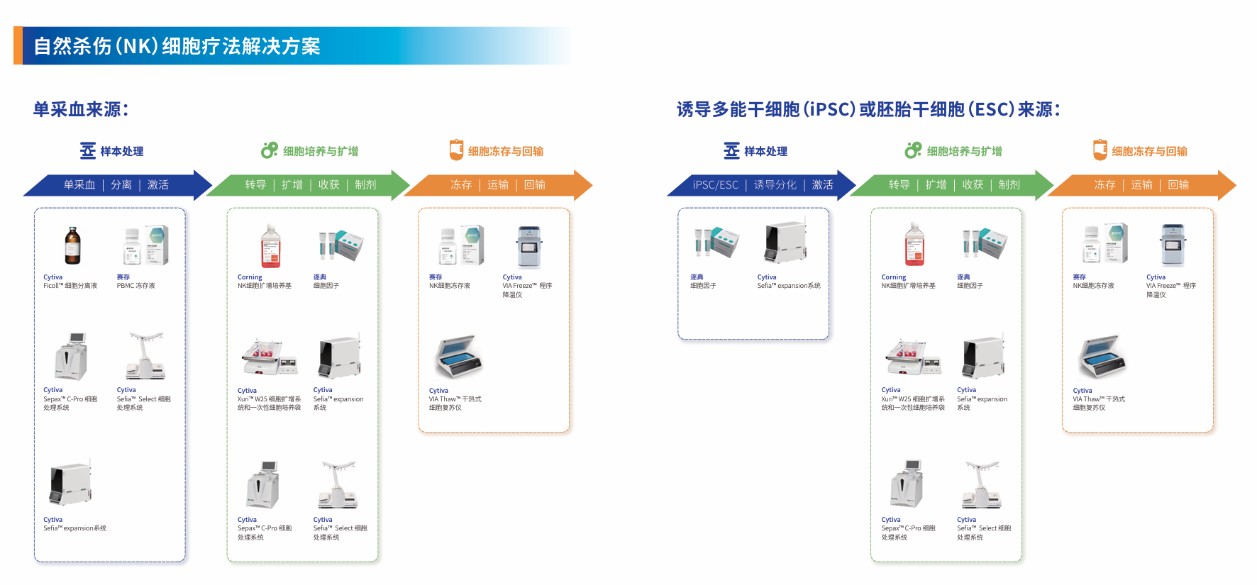 NK细胞 | 从免疫尖兵到抗癌利器，改写肿瘤治疗新未来
