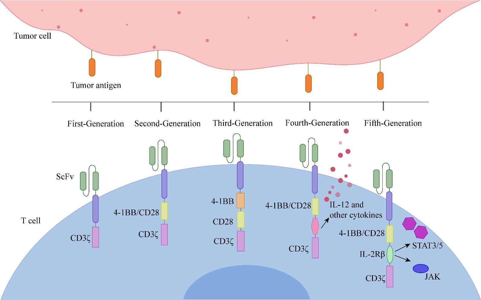 【技术干货】突破壁垒：CAR-T细胞疗法在实体瘤治疗领域的进化与挑战