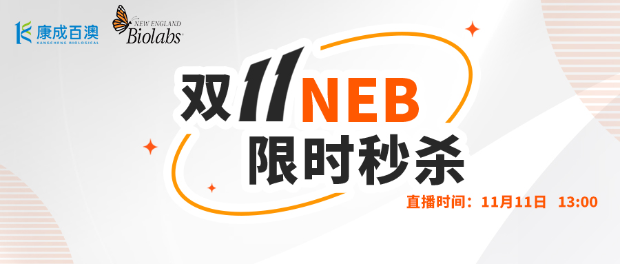 直播预告 | 双11NEB限时秒杀专场促销直播