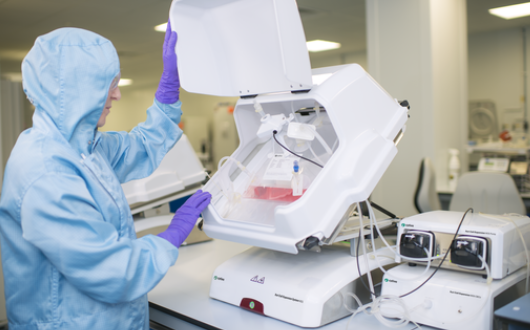 【技术干货】“会呼吸”的膜：PTFE如何成为疏水过滤之王？