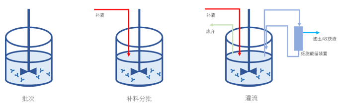 技术干货 | 抗体药上游工艺技术解析：从细胞培养到工业化生产的核心环节