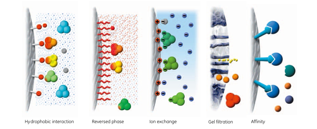 【技术干货】反相之道，分离之艺&mdash;&mdash;走进RPC的科学世界