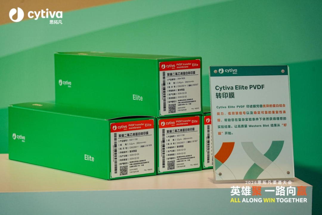 试用有奖 | WB翻车？用Cytiva Elite PVDF膜，条带清晰到像开了滤镜