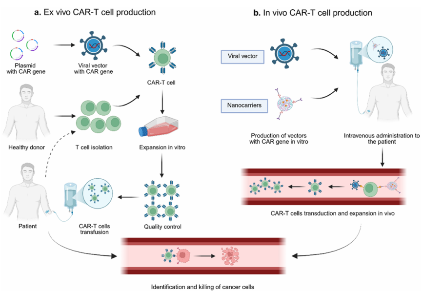 新一代体内 CAR-T：从临床突破到产业格局
