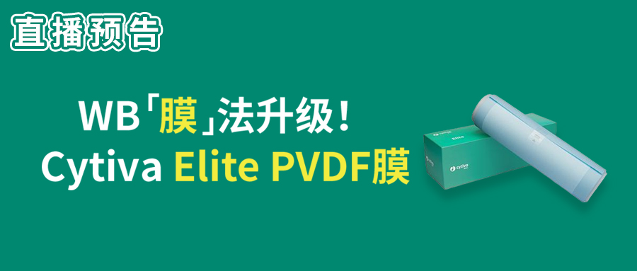 直播预告 | Cytiva x 康成百澳生物，WB&ldquo;膜&rdquo;法升级&mdash;&mdash;Cytiva Elite PVDF转印膜专场，等你预约！