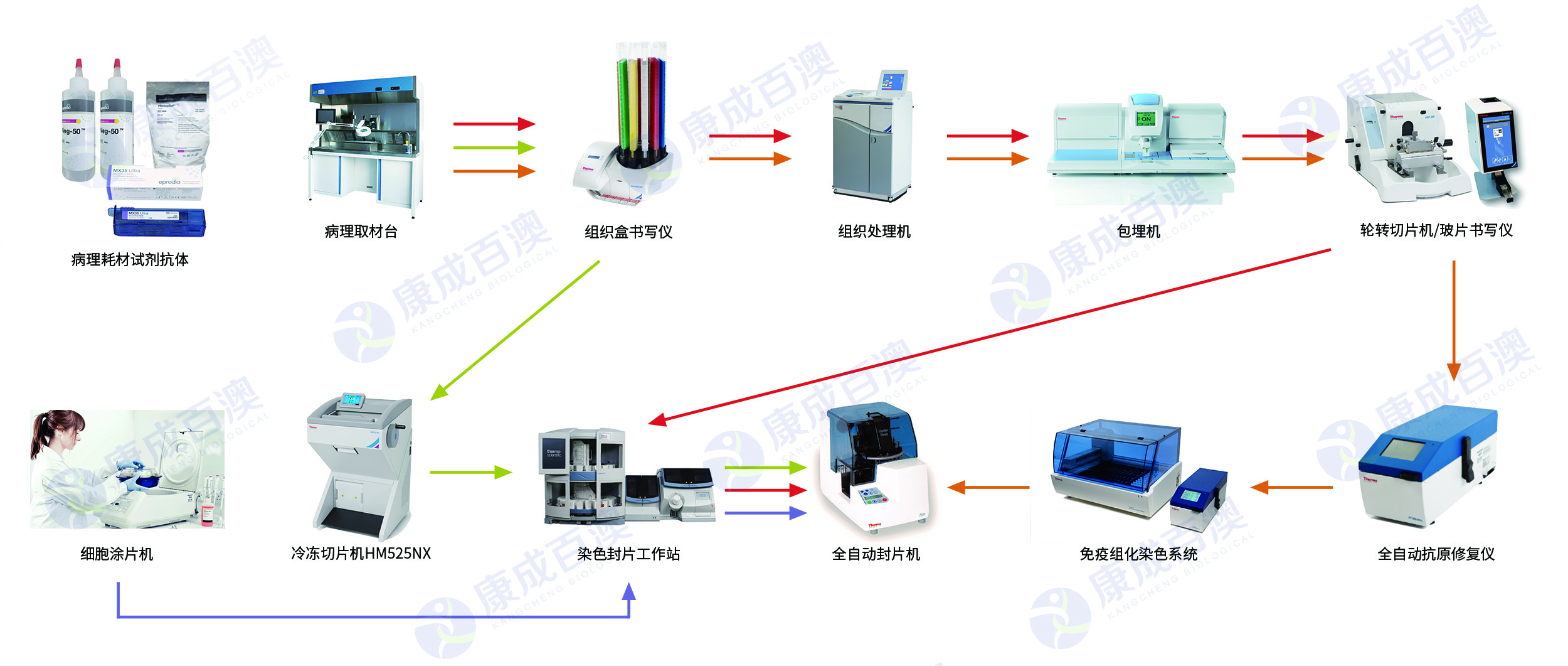 2022.11 病理 整体解决方案流程图片 置入 - 20220919.jpg