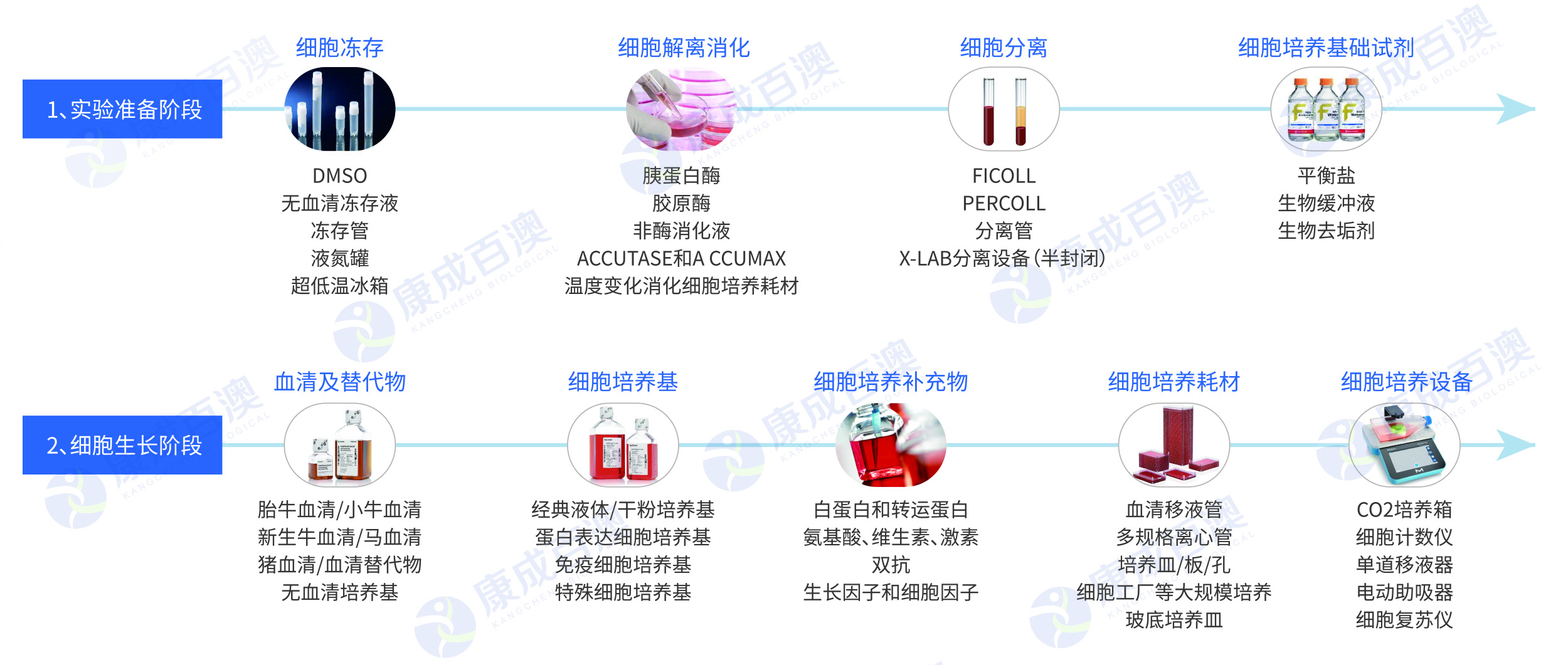 2023.01 细胞生物学.jpg