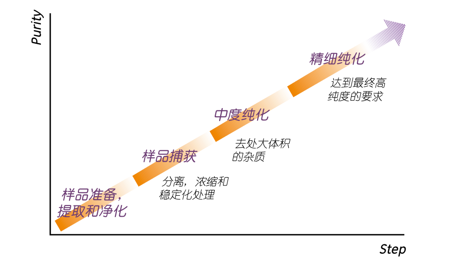 【技术干货】蛋白纯度99%背后的秘密:工艺杂质和产品杂质的博弈
