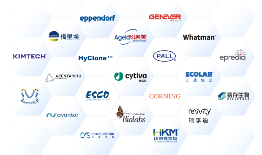 【技术干货】蛋白纯度99%背后的秘密:工艺杂质和产品杂质的博弈