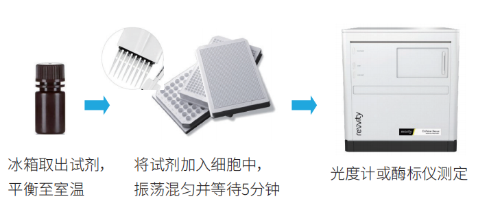 一“步”到位:ATPlite 1step 2.0如何重新定义细胞活性检测