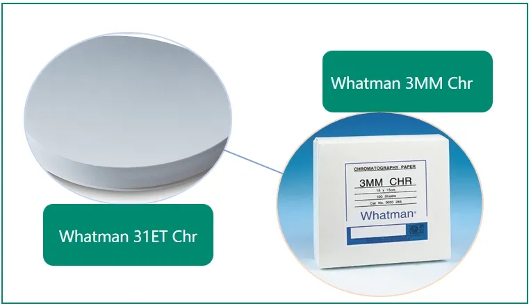 产品推荐｜Cytiva Whatman 3MM/31ET层析纸&mdash;&mdash;干化学试纸