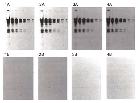 分子杂交与生物分子固定，Cytiva Biodyne尼龙膜解决方案
