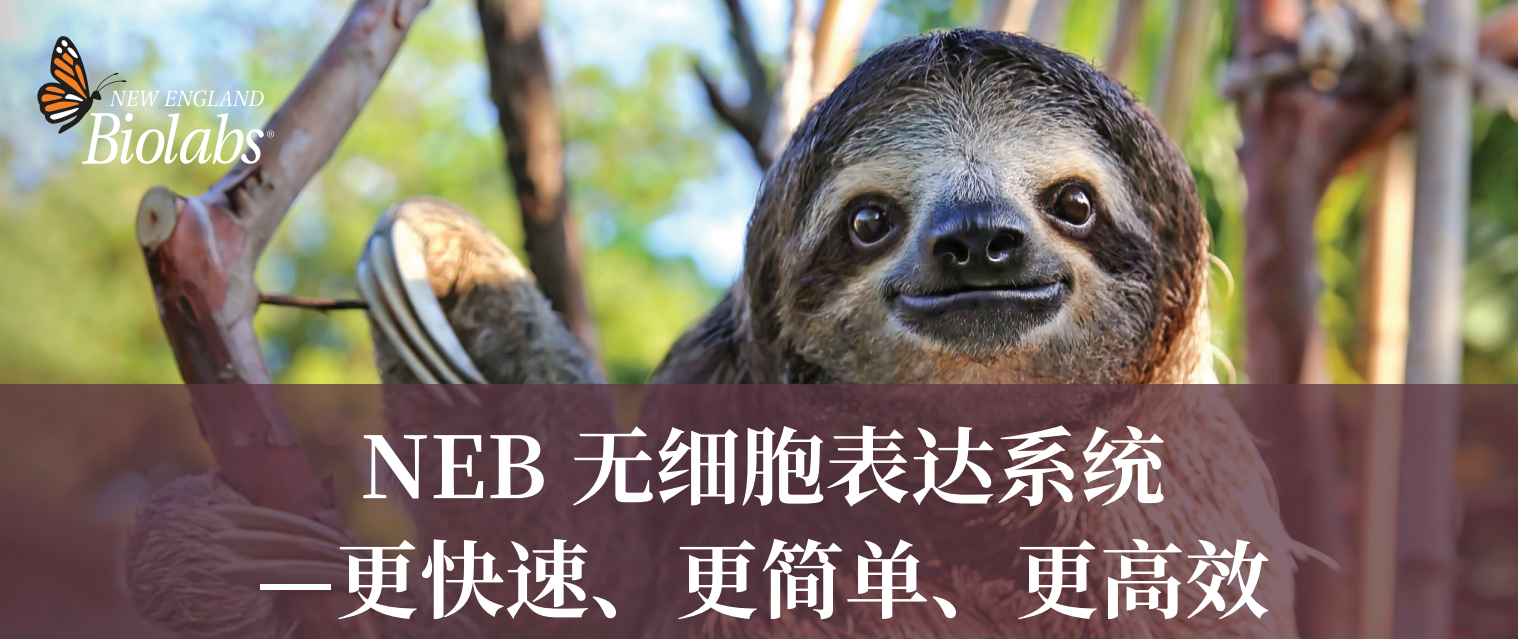 读懂药物筛选：海选候选分子，哪些该留？哪些该淘汰？